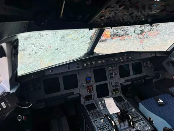 Passenger jet miraculously lands despite hailstone damage 3