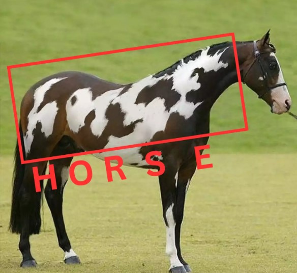 Optical illusion reveals you have high IQs, if you can spot second horse in this picture 4