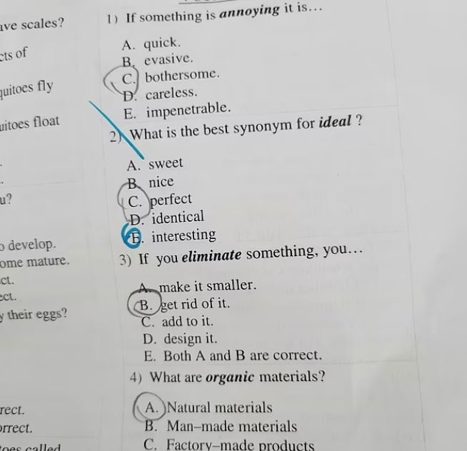 Another incident involving a year two English assignment highlighted controversy over the correct synonym for 'ideal'. Image Credits: Reddit