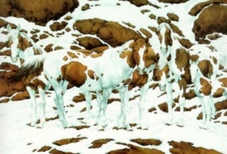 Seven horses optical illusion baffles viewers: how many do you see? 3