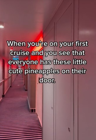 Passengers stunned after discovering the hidden meaning behind upside-down pineapple signs on cruise ships 5