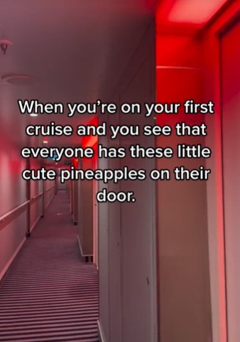 Passengers stunned after discovering the hidden meaning behind upside-down pineapple signs on cruise ships 2