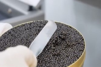 People vow never to eat caviar again after worker reveals how it is harvested 5