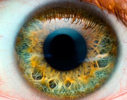 Image Credits: @Snoo_39873 /Reddit