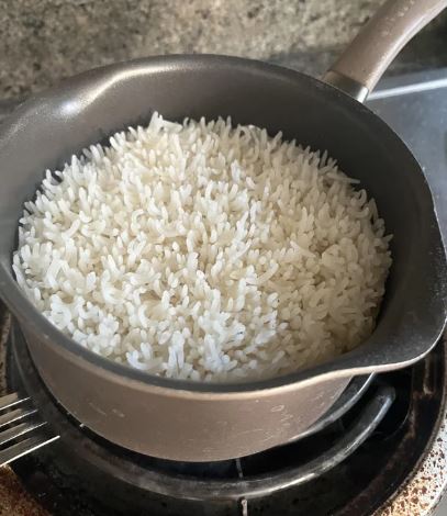 Image Credits: @Quackicature /Reddit