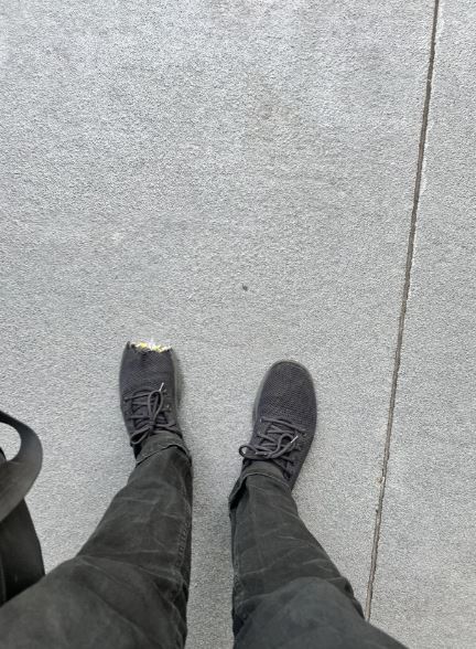 Image Credits: @Dashigos/Reddit