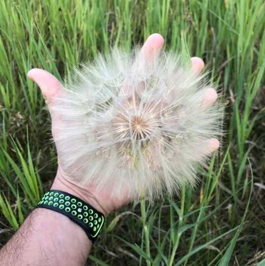 Image Credits: @blood_omen / Reddit