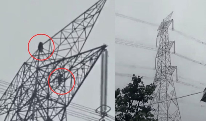 Love's height: Girl's 80 foot climb up electricity tower post-argument 1
