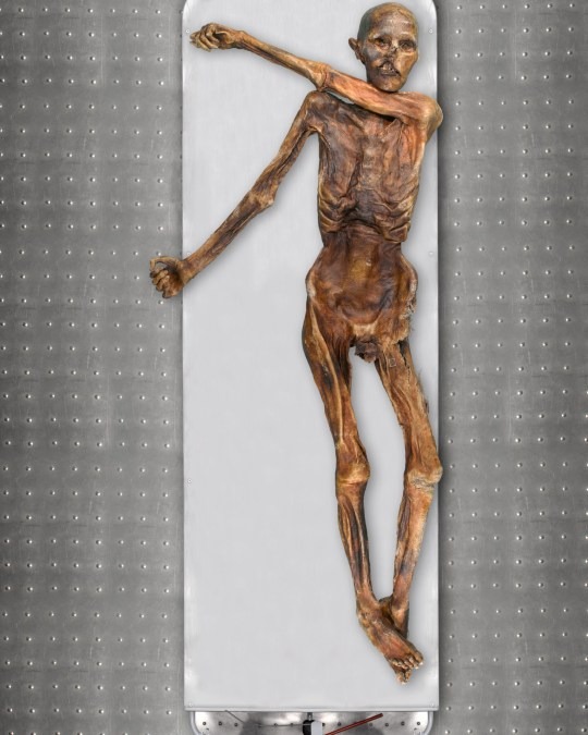 Ötzi the iceman finally reveals his face after 5,300 years 3